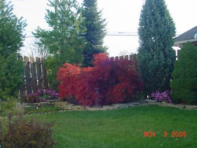 Landscape and  Home Gardens